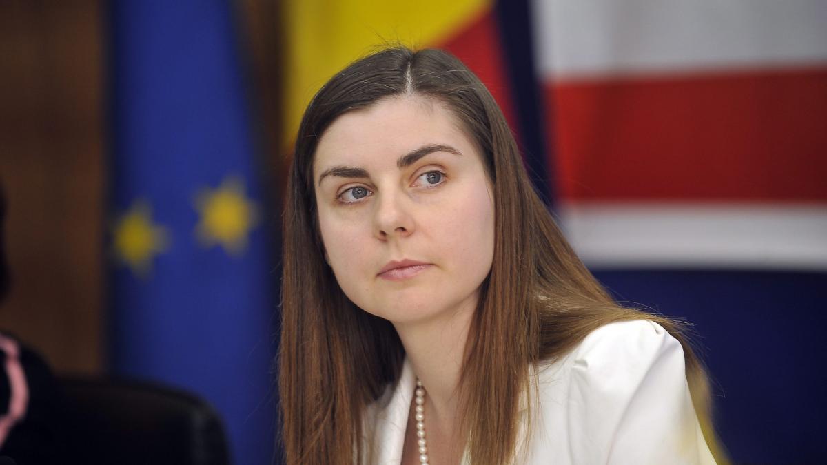 Ioana Petrescu: „Dacă impozitul pe venitul global se va introduce prea repede, ANAF riscă să intre in colaps” 