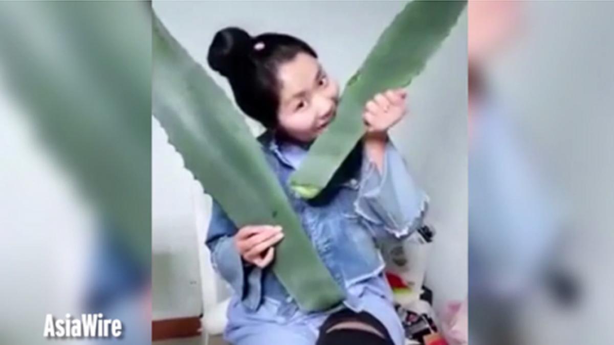 video a vrut sa demonstreze cat de sanatoasa este aloe vera dar a sfarsit otravindu se