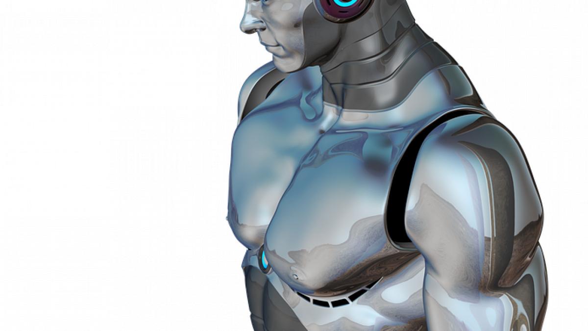 Experţii sunt de părere că roboţii construiţi cu scop sexual reprezintă o reală problemă