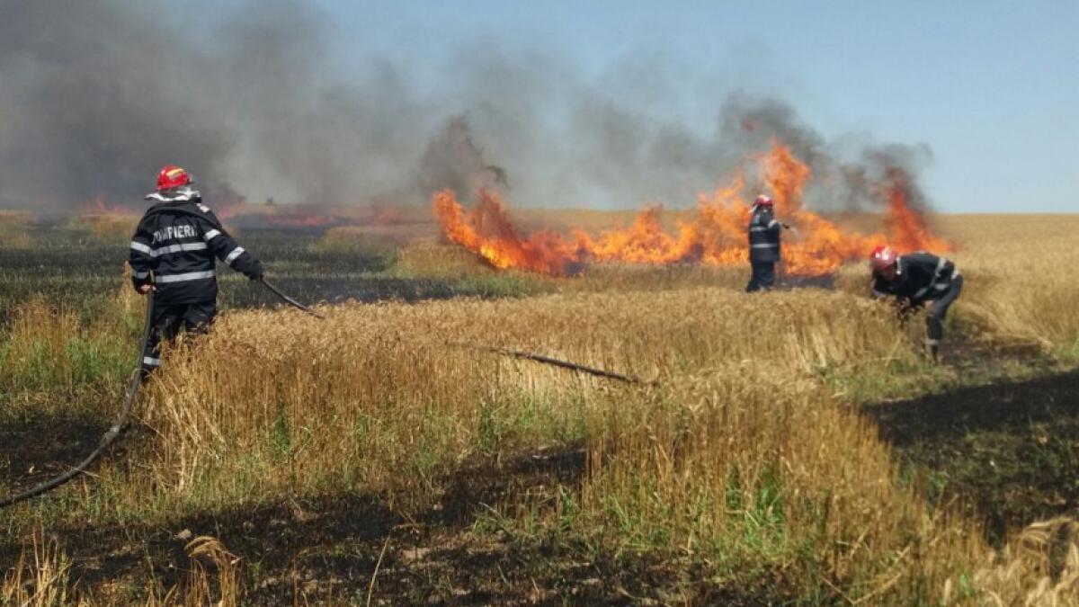 Tulcea: Aproape 60 de hectare de grâu, incendiate