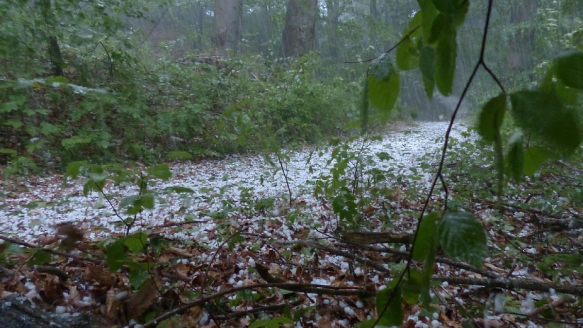 Cod portocaliu de grindină şi vijelii în localităţi din judeţele Vrancea şi Galaţi, până la 18:00