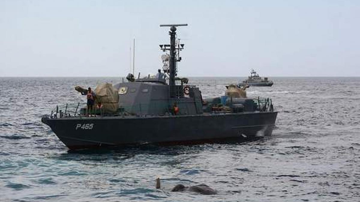 video un elefant a fost salvat din oceanul indian de marina militara din sri lanka