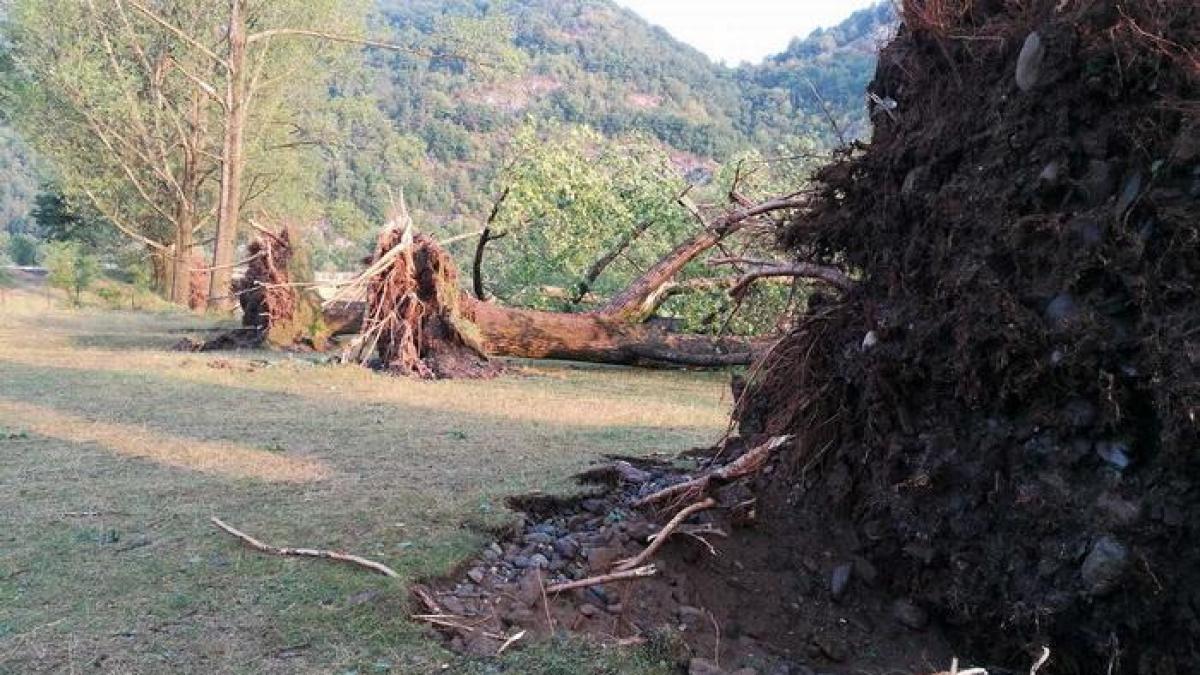GALERIE FOTO - Cum arată dezastrul pe care furtuna violentă l-a lăsat în urmă în campingul din Bihor