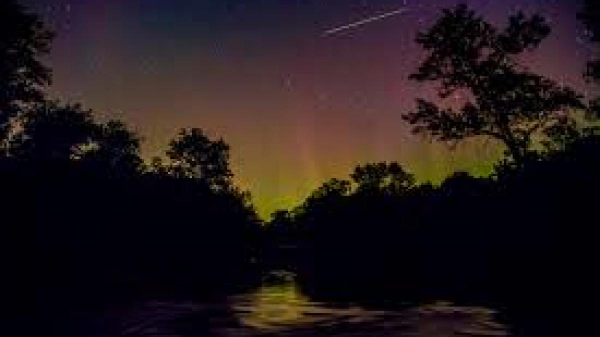 Horoscop zilnic, 26 iulie. Racii sunt creativi