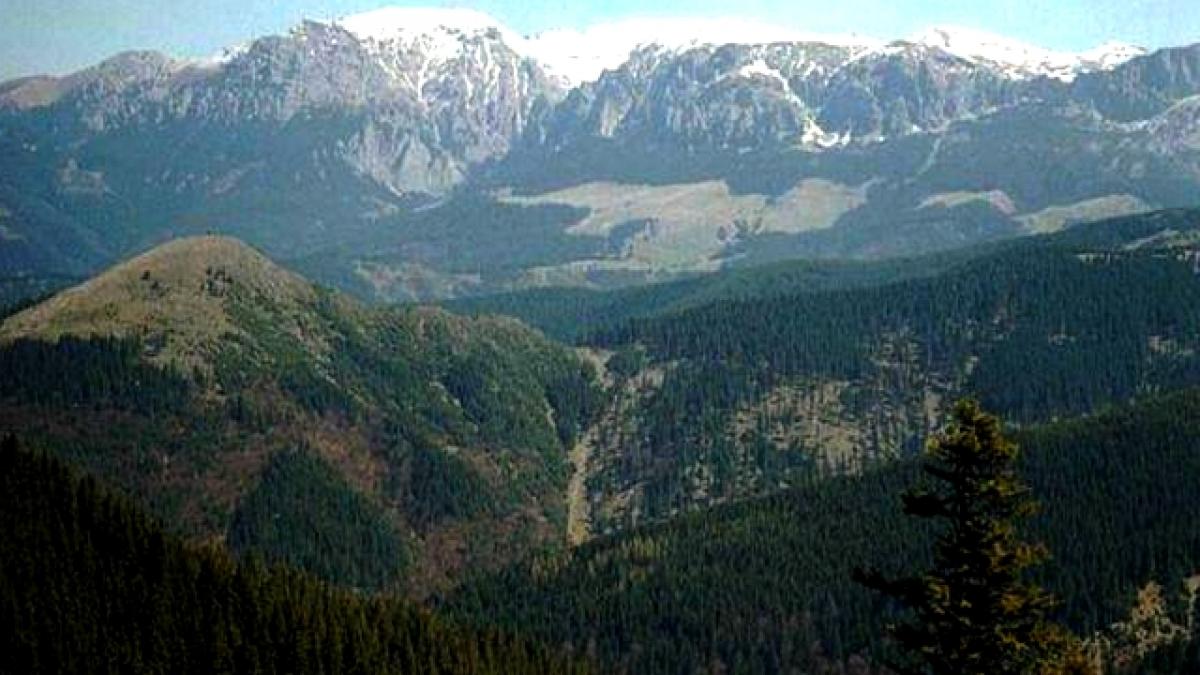Jandarmii din Argeș caută doi turiști dispăruți în Masivul Leaota