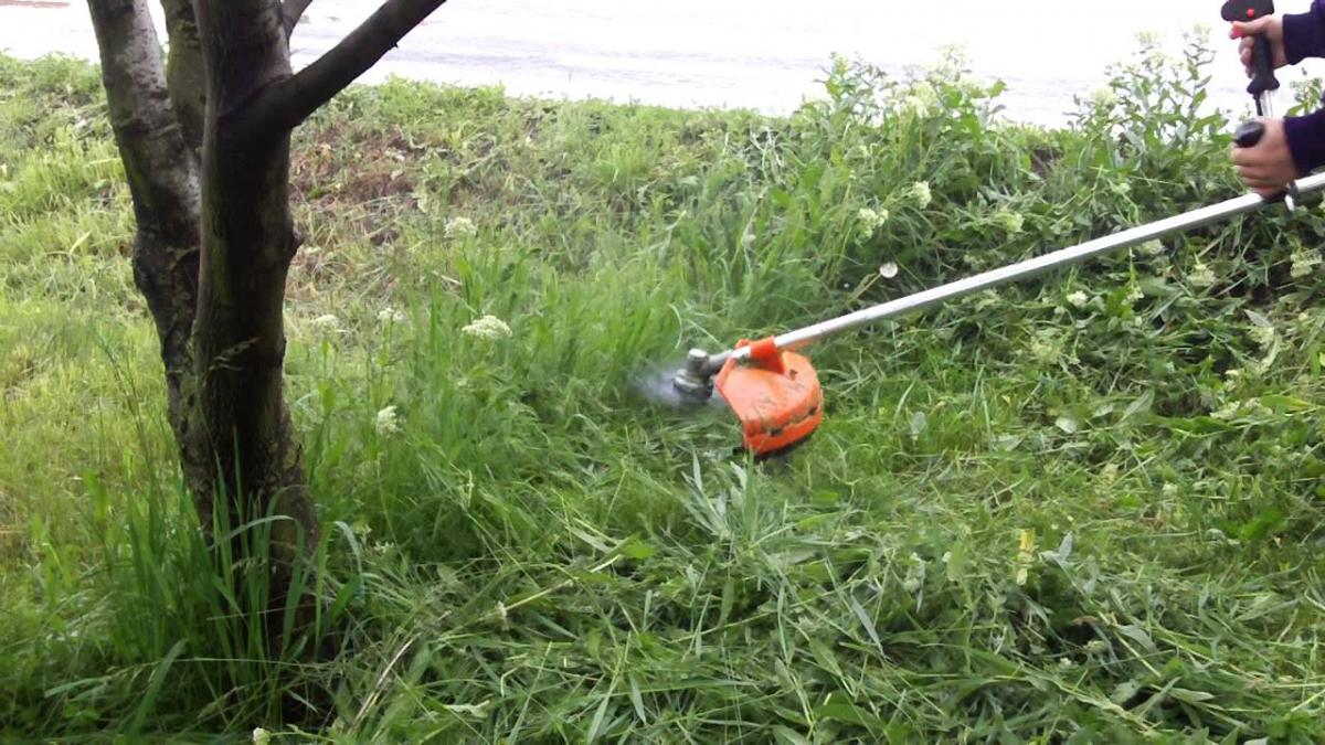 Constanța - O femeie a fost grav rănită după ce o motocoasă a explodat