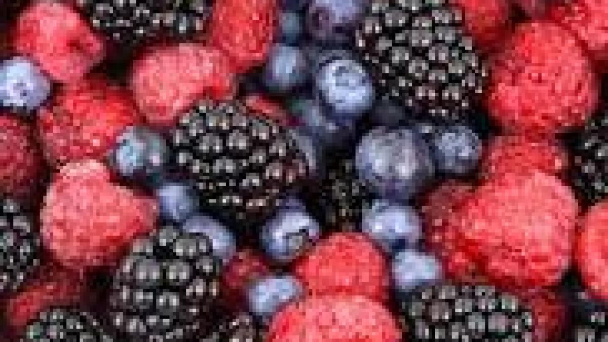 Fructele de pădure, remediu pentru numeroase boli