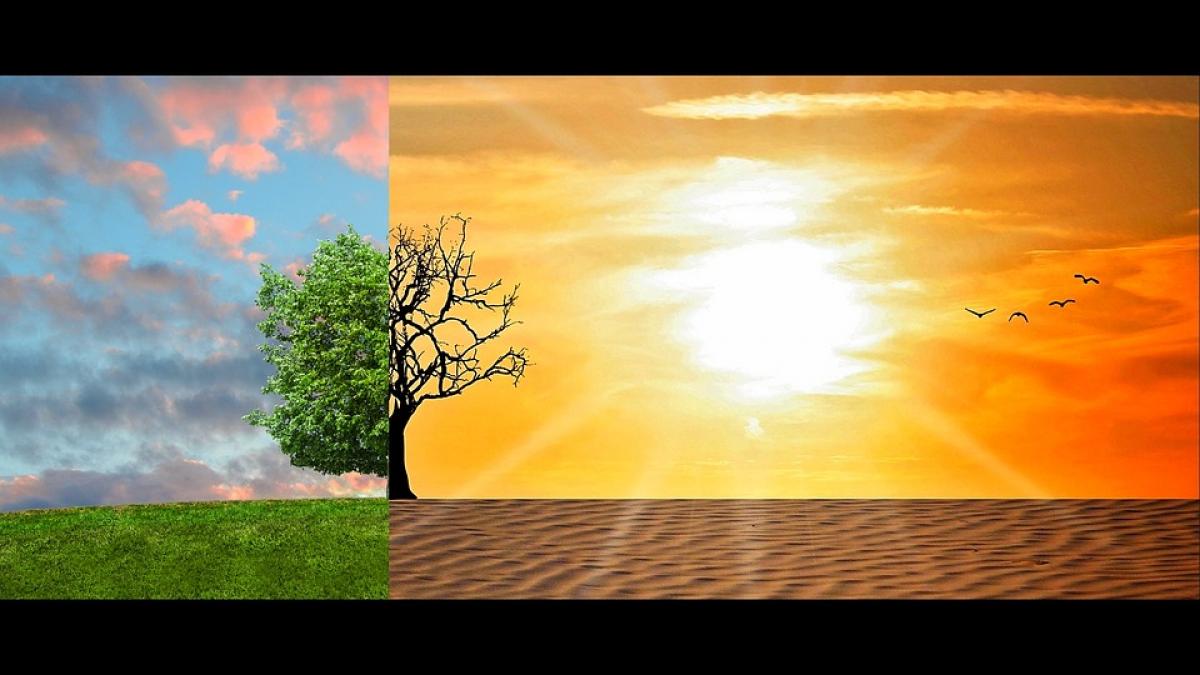 Schimbările climatice sunt pe punctul de a atinge un prag distructiv