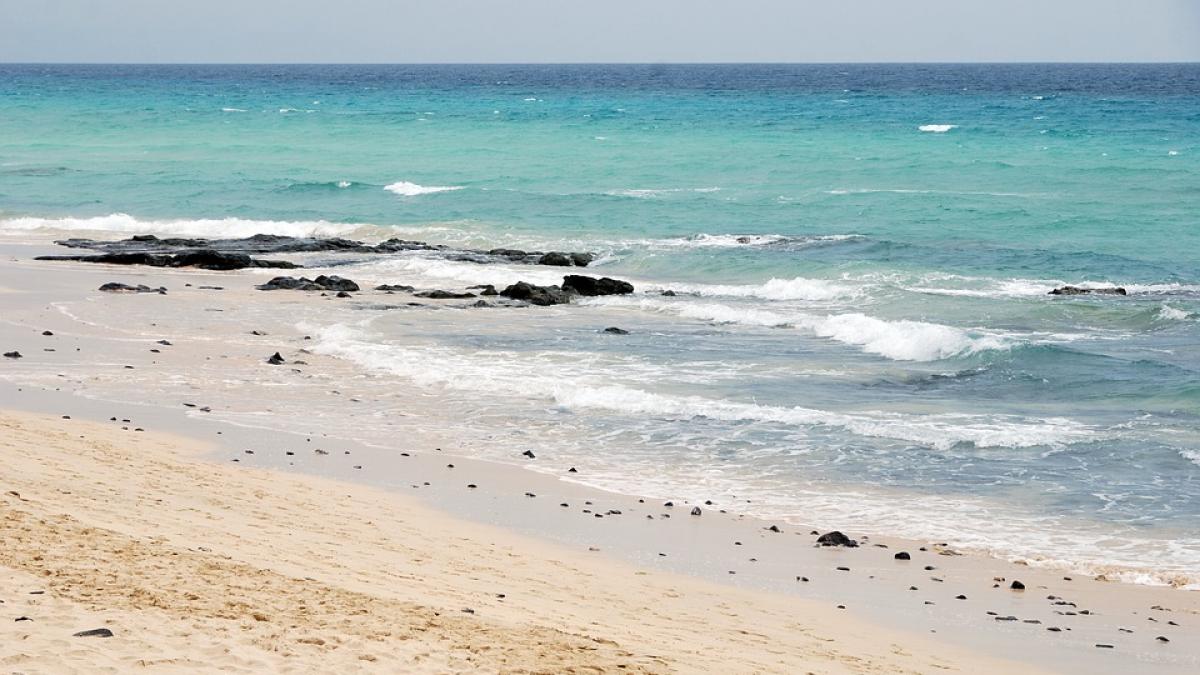 Plajele din Insulele Canare invadate de micro-alge