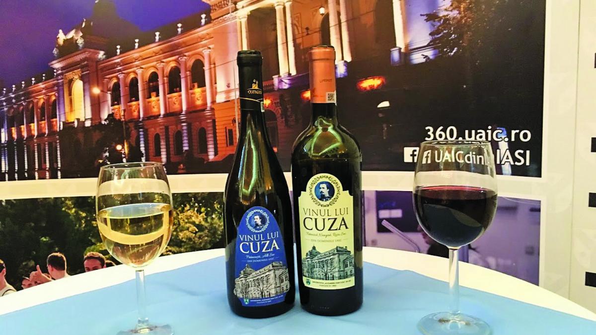 Vinul lui Cuza, produs de Tudorel Toader