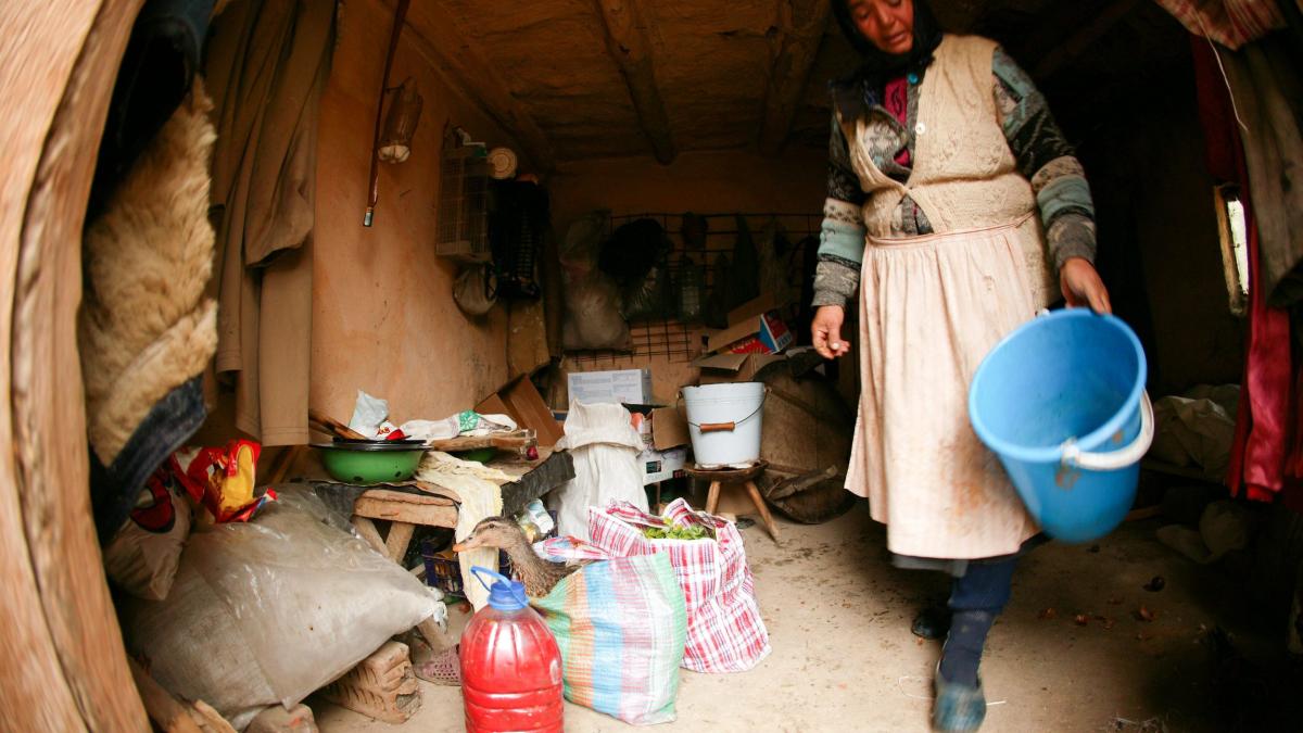 Germania vrea banii destinaţi romilor din Bulgaria şi România