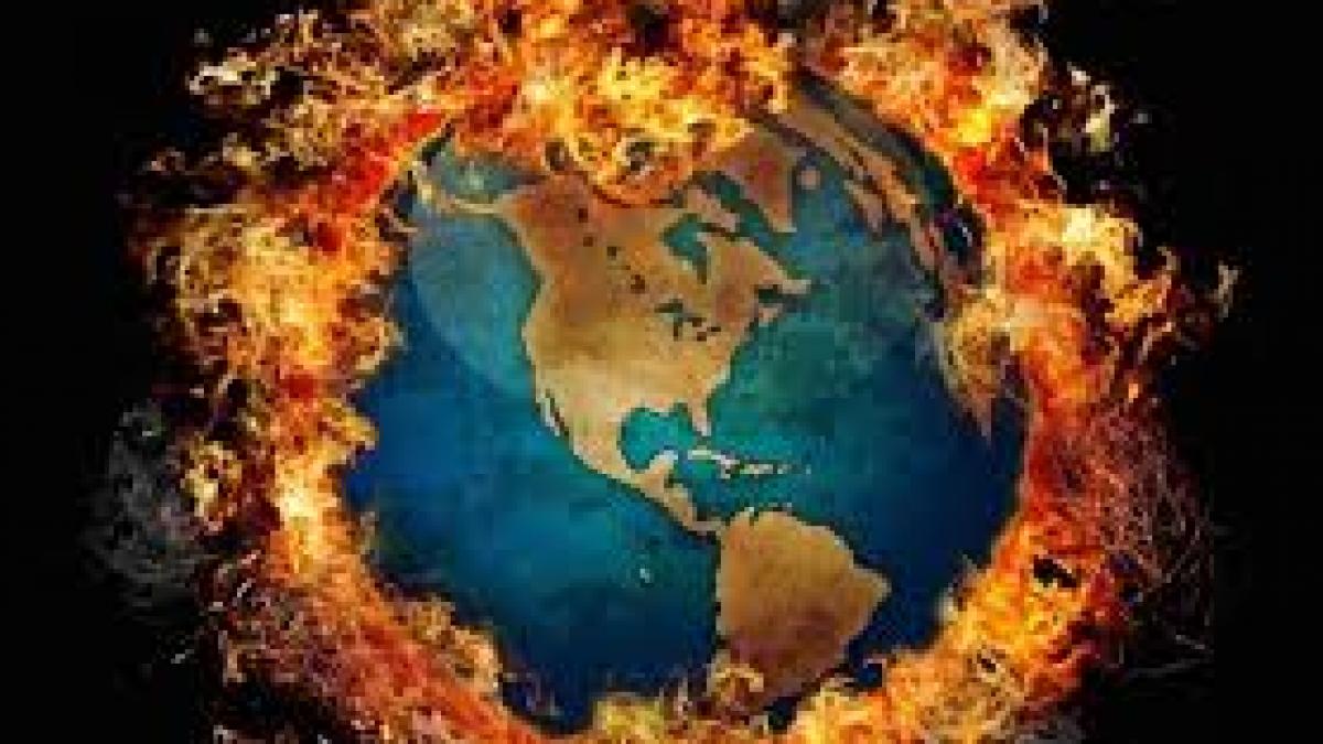 Studiu: Unii copaci nu se vor putea adapta la timp pentru a supraviețui schimbărilor climaterice