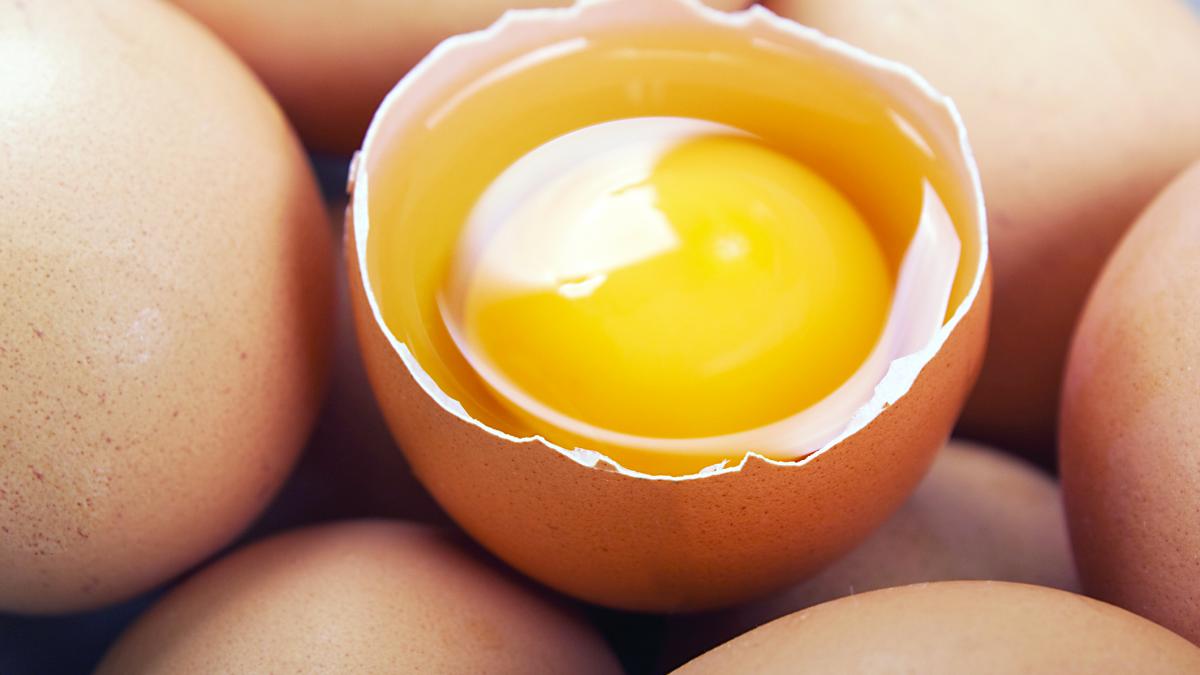 O tonă de gălbenuş de ou contaminat cu Fipronil, confiscată în România