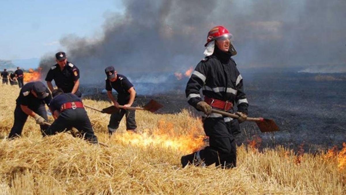 Un incendiu de vegetație afectează circulația rutieră pe DN4