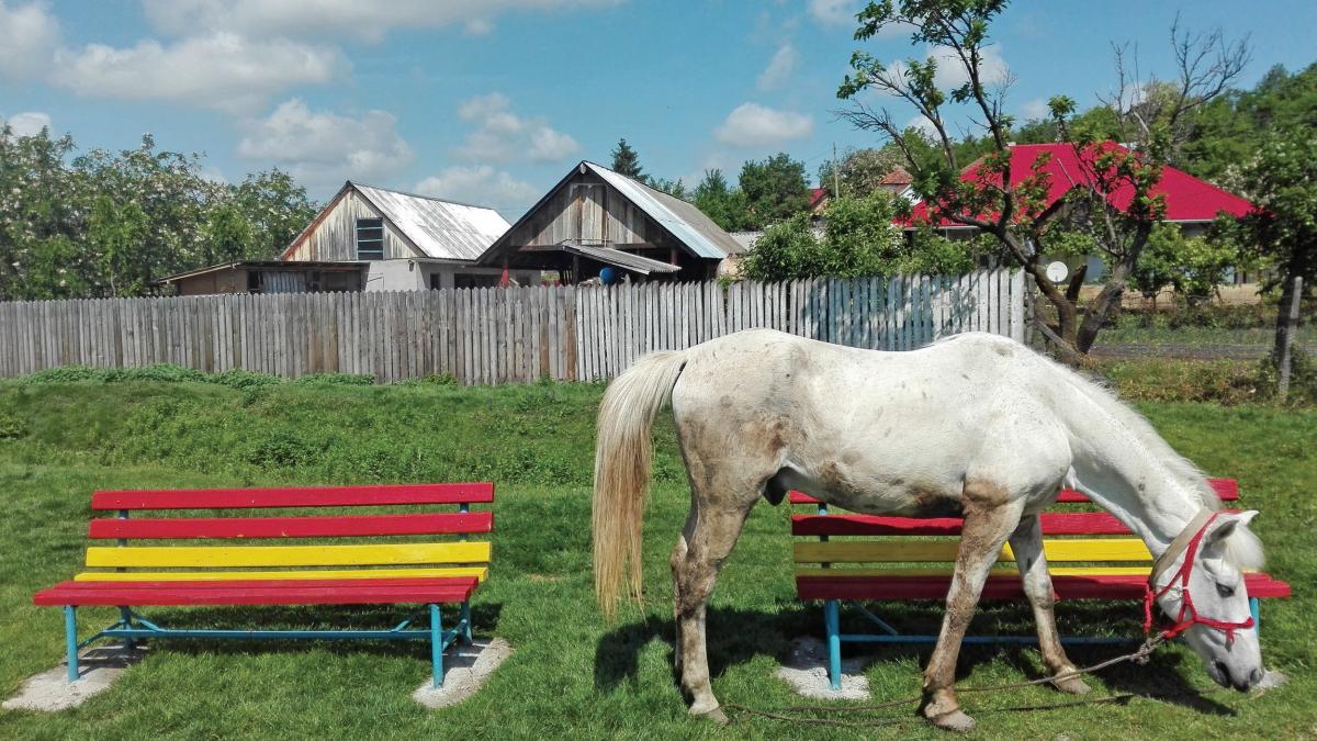 Creșterea economică record, la pachet cu 7,6 milioane de săraci