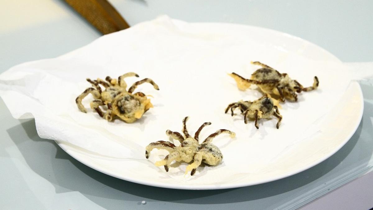 Tarantule tempura, carne de cămilă la grill și salată cu viermi de mătase în sezonul 4  „Chefi la cuțite”