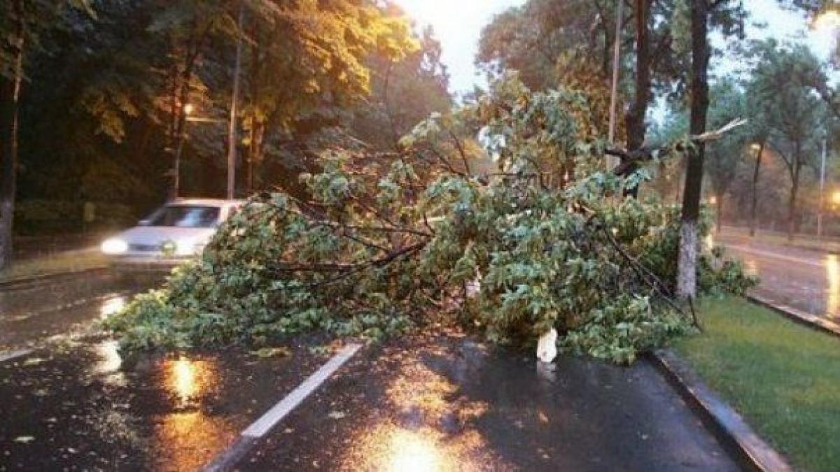 furtuna violenta in vestul tarii opt morti si 68 de raniti cinci drumuri nationale blocate