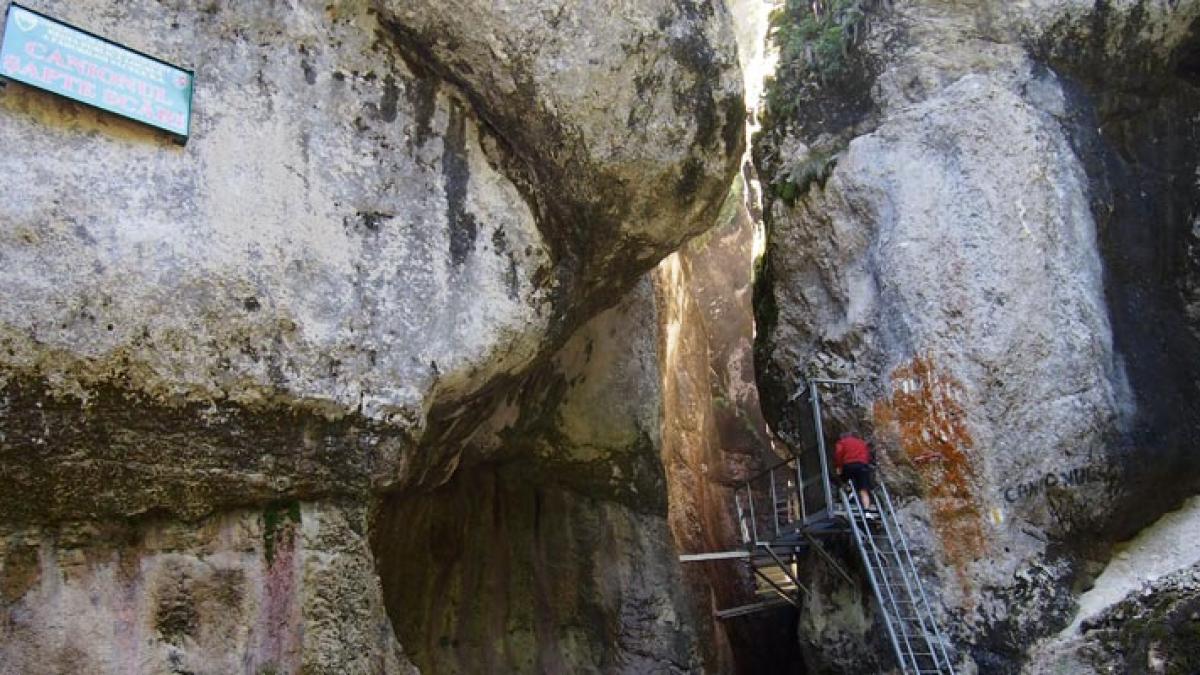 Un bărbat a murit după ce a căzut peste el un copac în Canionul 7 Scări