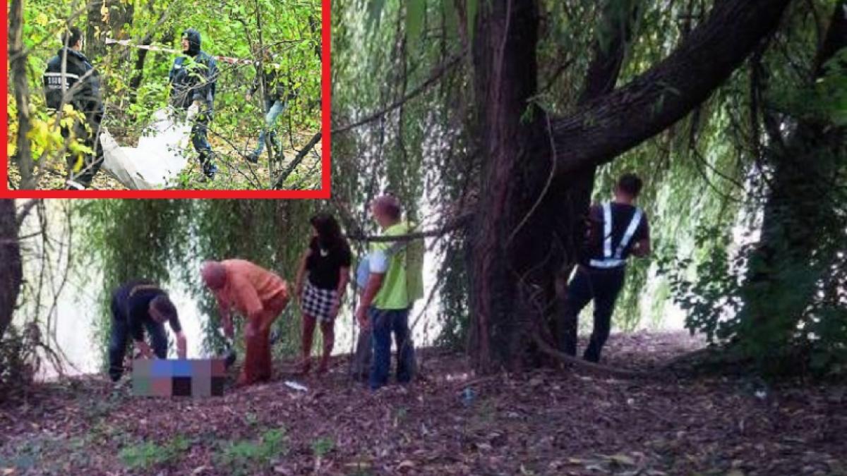 Imagine terifiantă într-un parc din Satu Mare. O femeie care își plimba căţelul a văzut un bărbat spânzurat de un copac