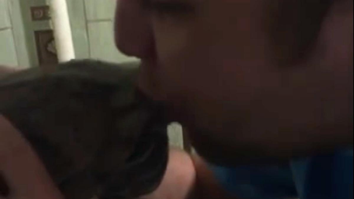 video dupa fapta si rasplata reactia unei testoase satula sa fie sicanata