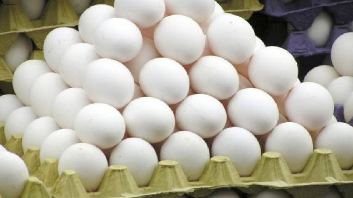 Exporturile de ouă ale României în UE sunt inferioare celor din Bulgaria, Lituaniei sau Letoniei