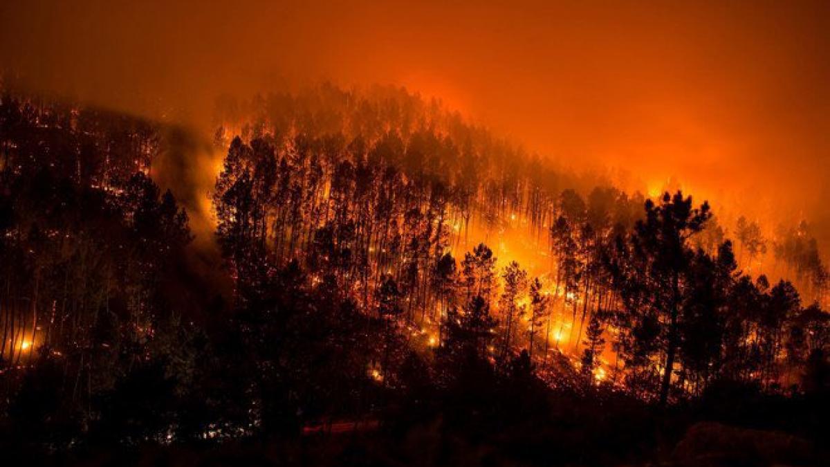 video incendii devastatoare in spania autoritatile spun ca focul a fost pus intentionat