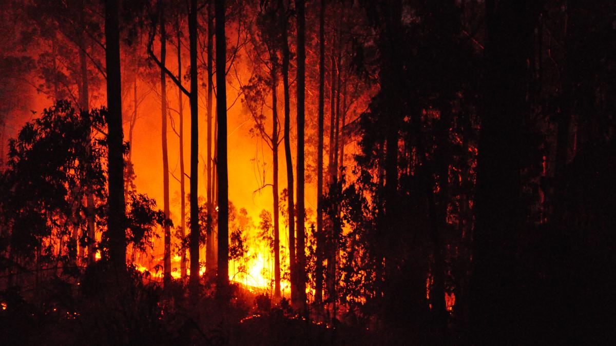Doliu național în Portugalia în urma incendiilor mortale