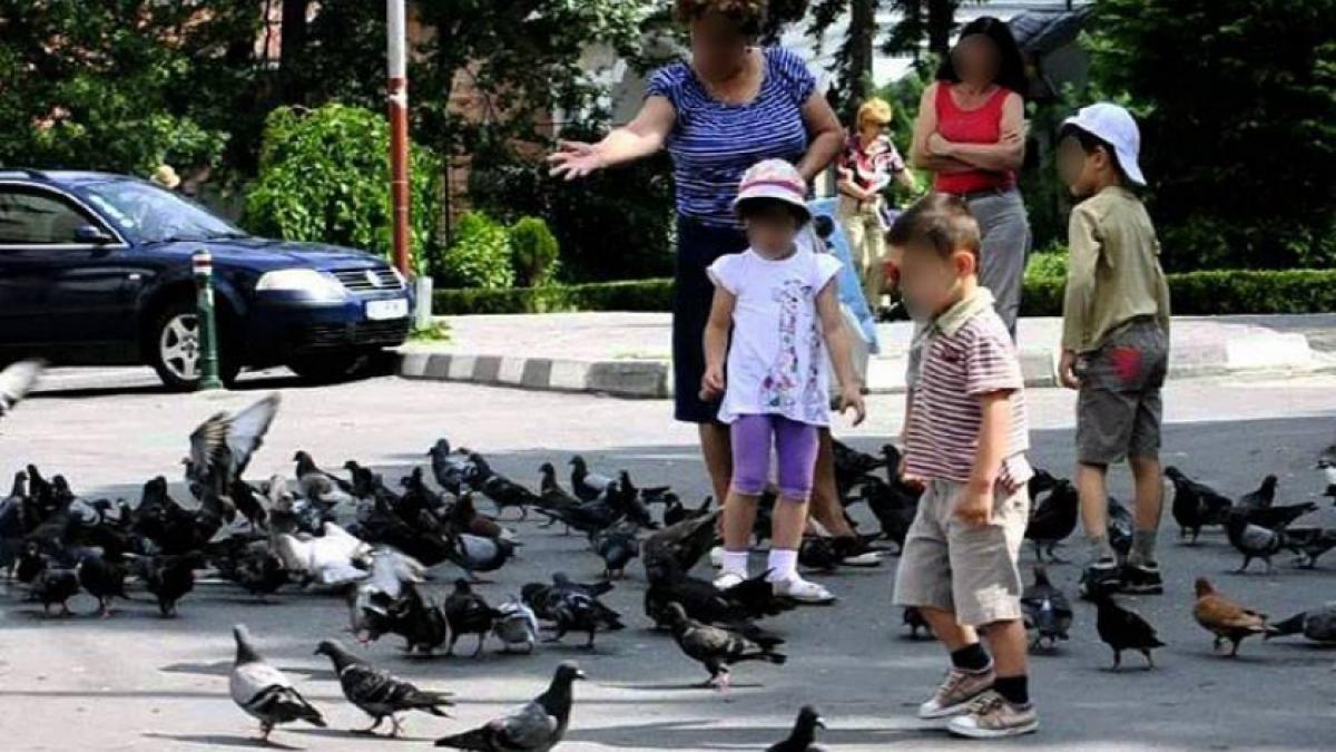 Şocant! Doi copii s-au jucat cu un porumbel până l-au omorât 