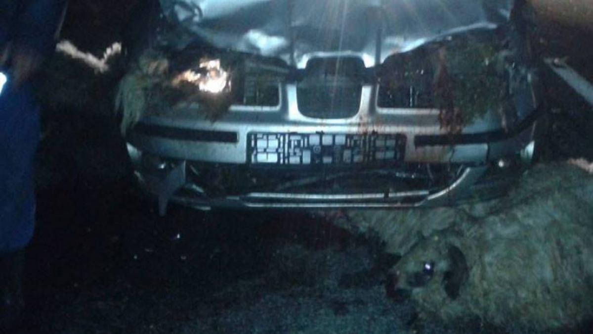  O şoferiţă vitezomană a spulberat cu maşina o turmă de oi în Caraş-Severin