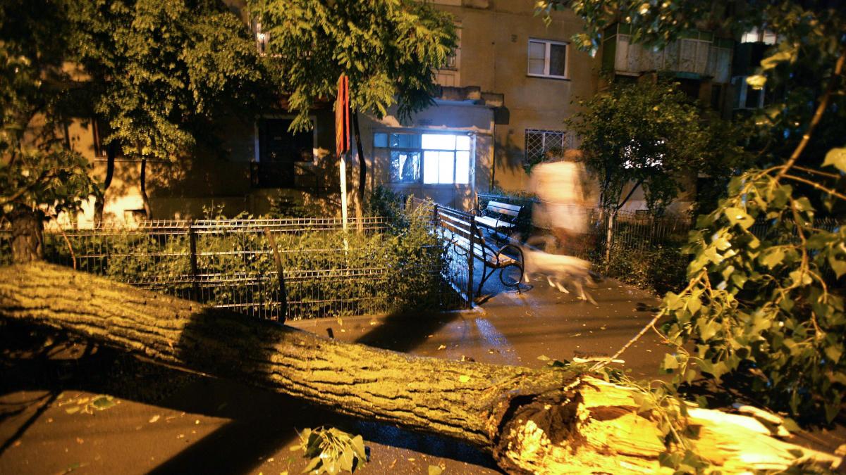 Dezastru în București din cauza vijeliei, 65 de copaci s-au prăbușit iar 45 de mașini au fost avariate
