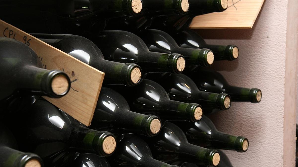 România, record mondial la creşterea producţiei de vin