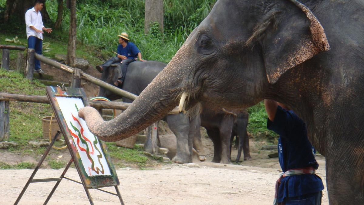 Ungaria. Operele unui elefant care pictează, vândute la licitație