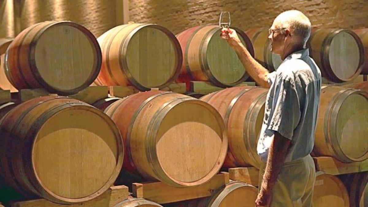 Constanţa: Un podgorean dobrogean a câştigat piaţa germană cu un vin bio, aromatizat, pentru fiert