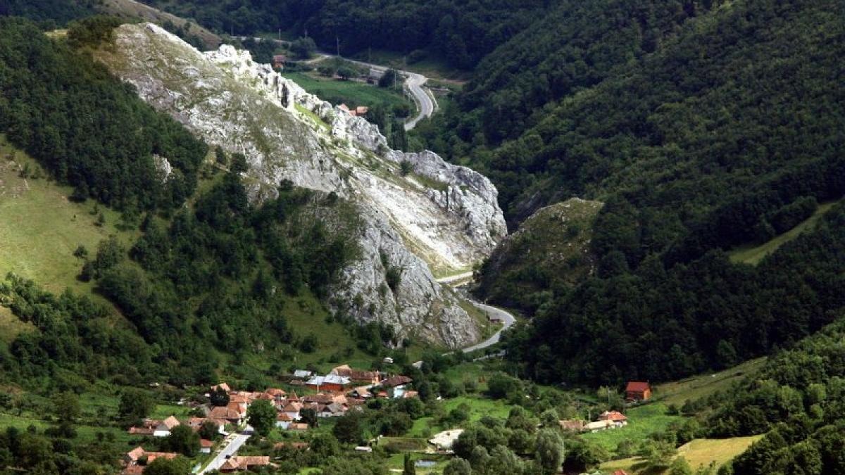 Momente de panică în Semenic! Doi bărbaţi care au plecat să culeagă bureţi sunt de negăsit