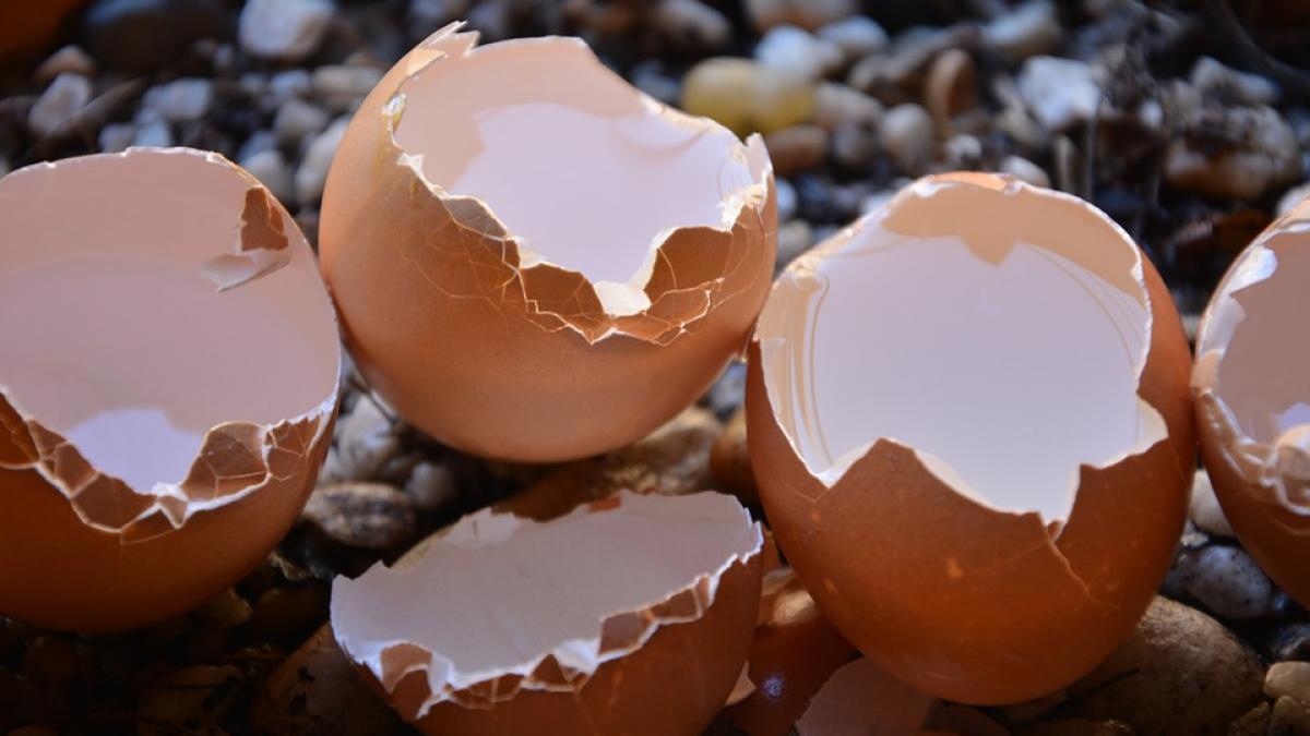 Remediu naturist pentru tratarea lipsei de calciu. Rețetă la îndemâna oricui
