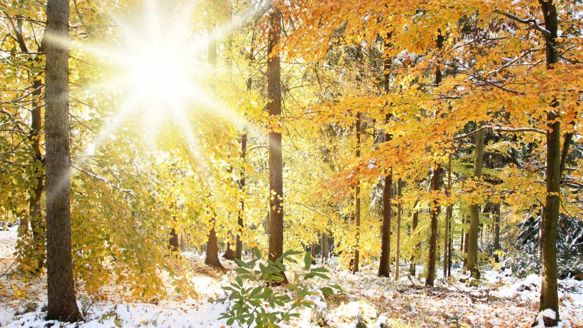 Prognoza METEO pentru 16, 17 și 18 noiembrie: Vremea se schimbă dramatic în următoarele zile!