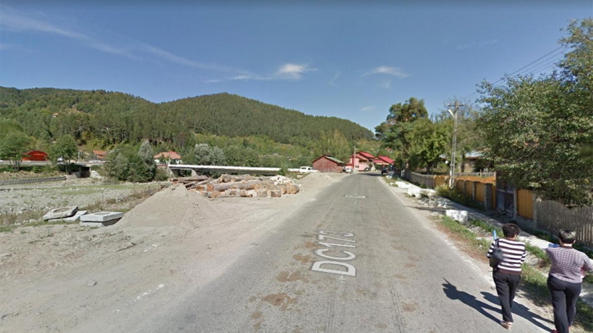 Retrocedarea ilegală a 220 ha de pădure din Buzău, anulată de instanță