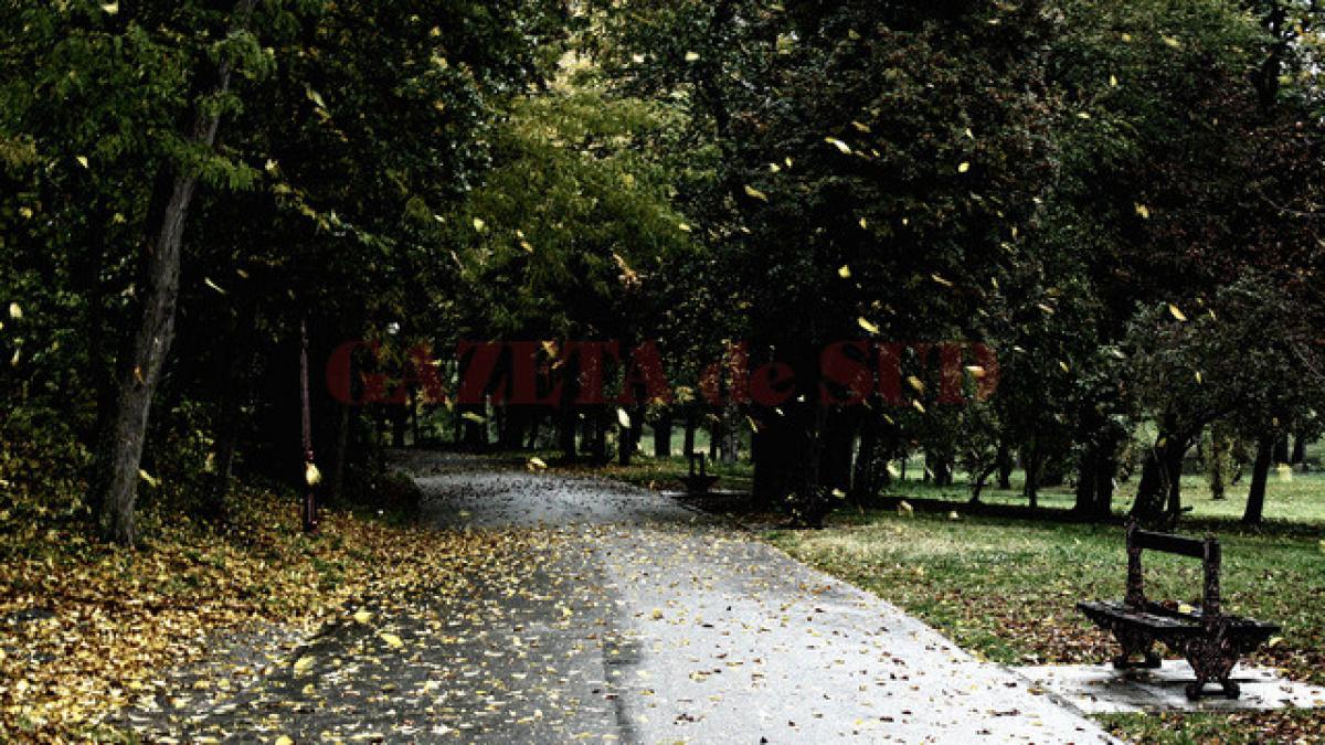 Prognoza METEO pentru 23, 24 și 25 noiembrie: Cer variabil