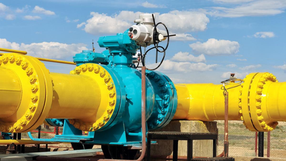 Romgaz și-a luat paznici „garantați” de SRI