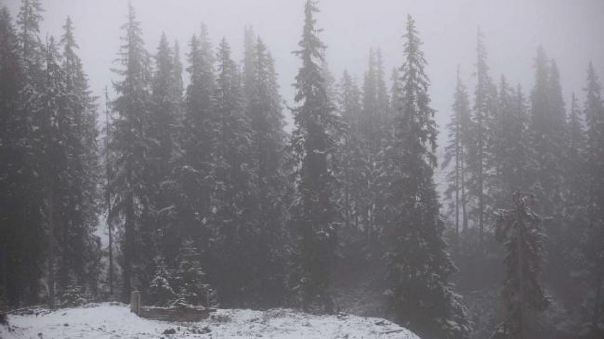 ANM: Cod galben de viscol în zona montană a judeţului Sibiu, la altitudini de peste 2.000 de metri 
