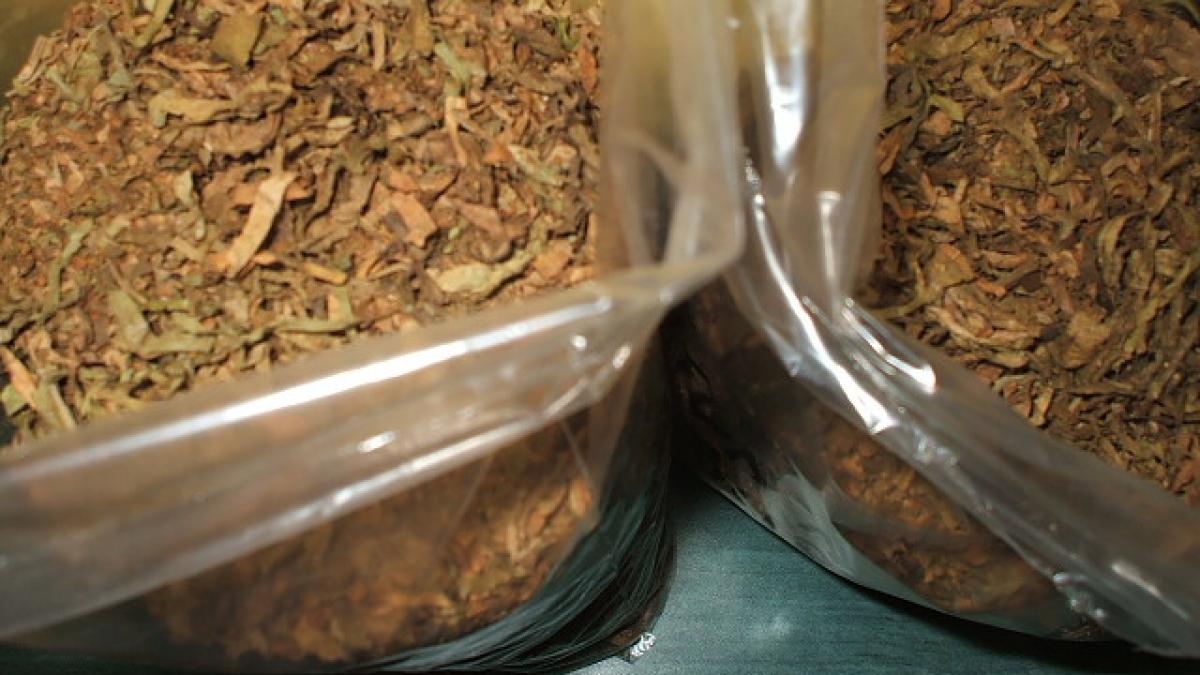 Tutun de contrabandă în valoare de un milion de euro, confiscat la Bechet