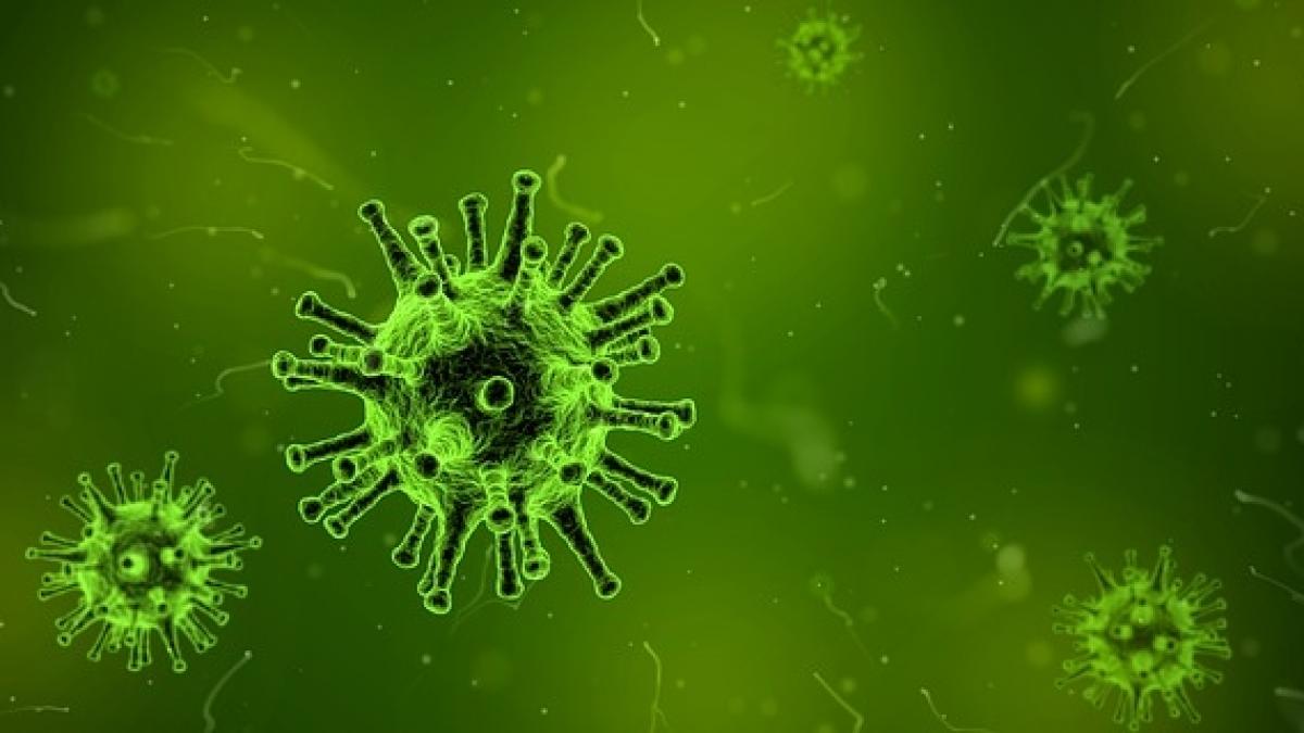 Un virus extraterestru si o nebuloasa vor distruge Pamantul!