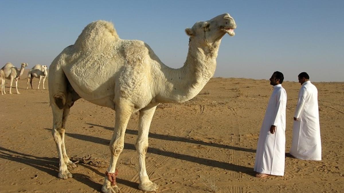 Arabia Saudită sare in ajutorul celor mai săraci cetăţeni
