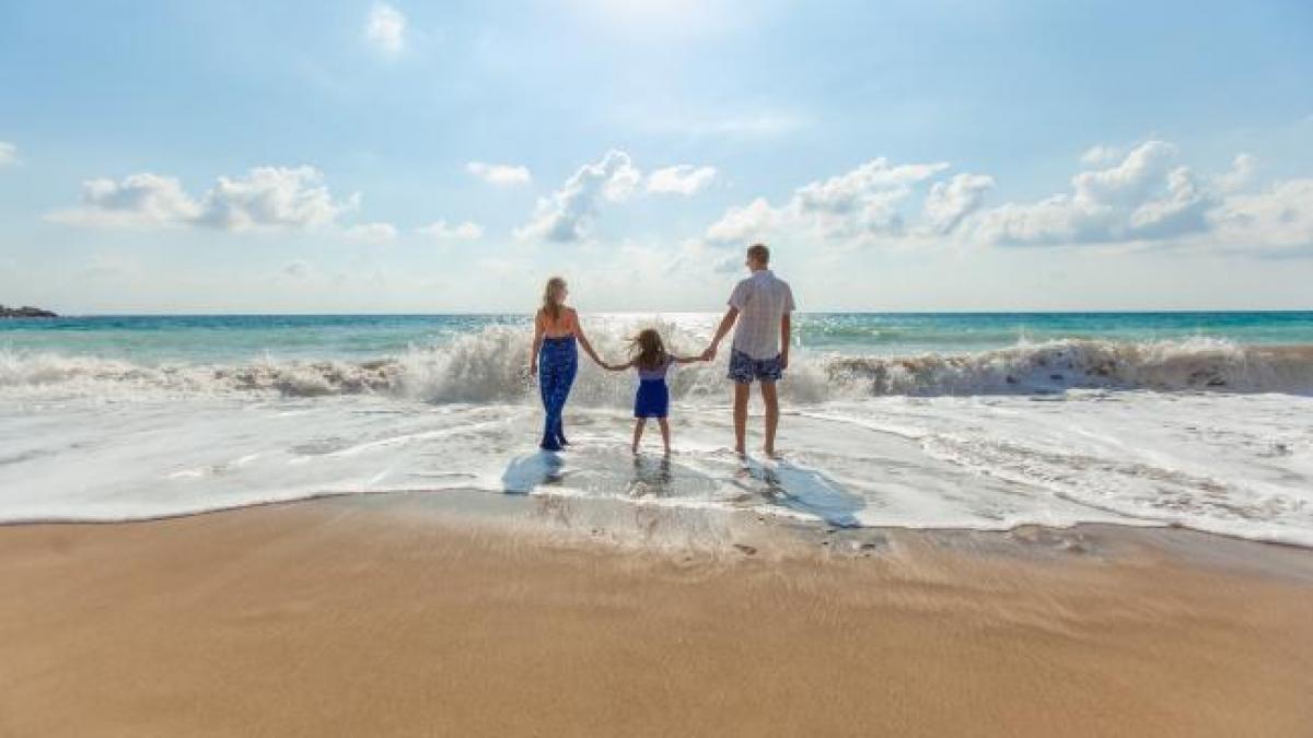 Ministrul Turismului: Voucherele de vacanţă se vor da în primul trimestru al anului 2018
