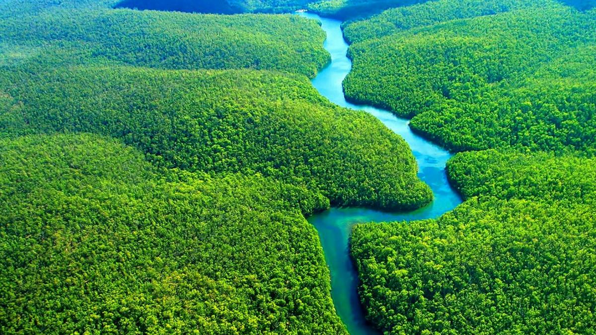O pădure din Amazonia peruană va purta numele Papei Francisc