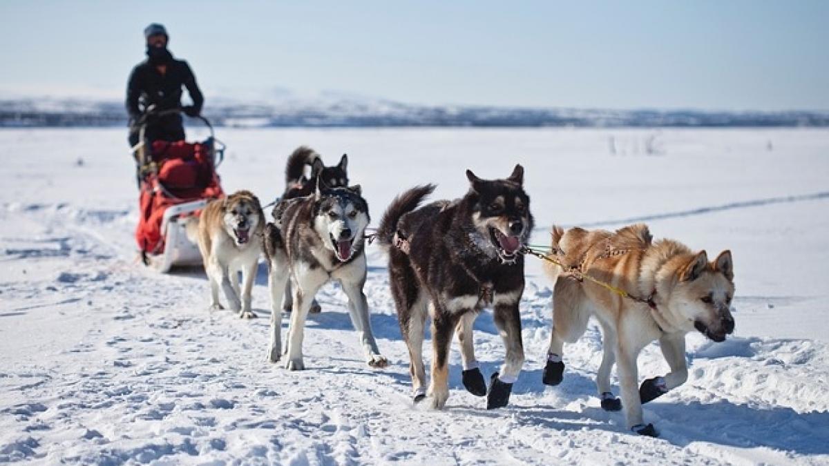 Schimbările climatice au provocat ninsori-record în munţii din Alaska