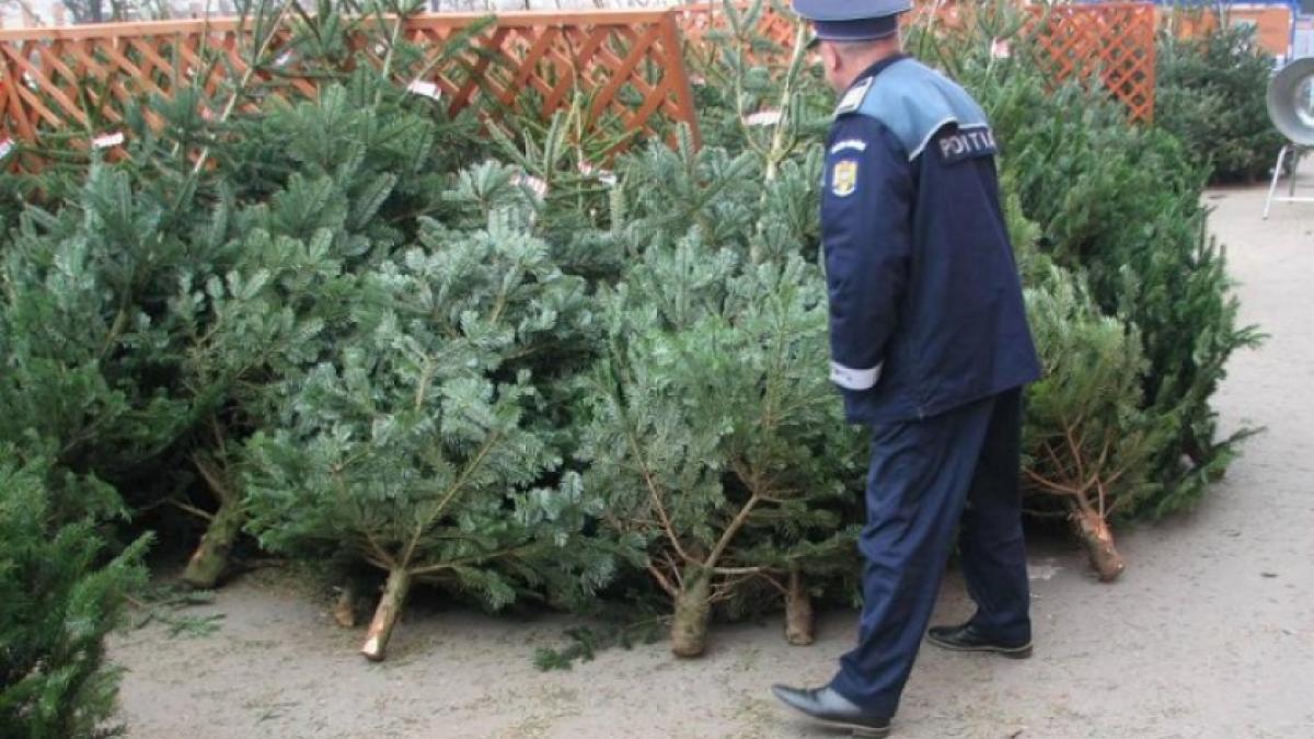 Mii de brazi, confiscaţi de autorităţi, în urma controalelor din ultima perioadă