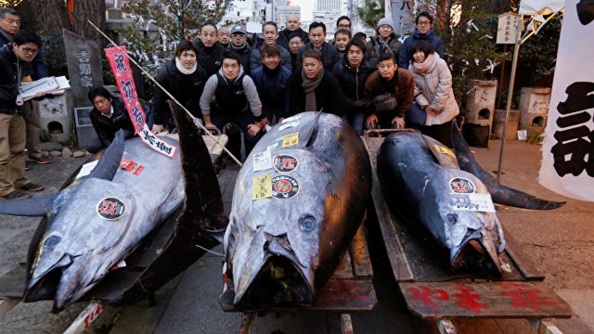 Peste vandut cu 323.000 de dolari in Japonia!
