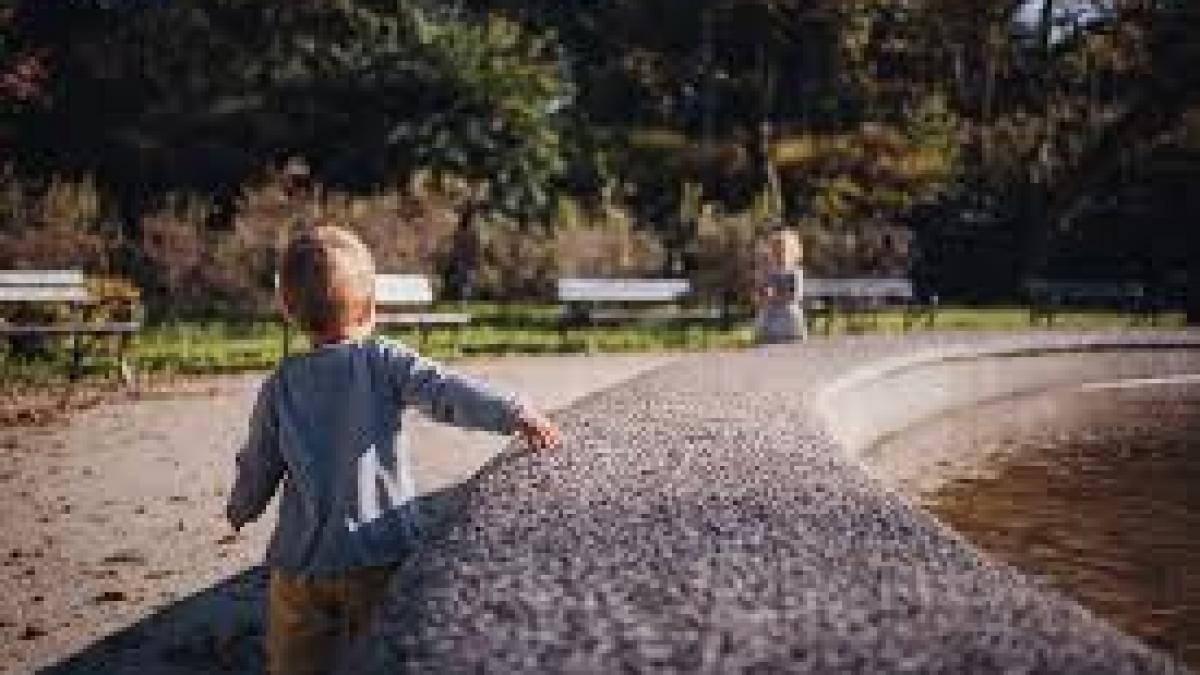 Suceava. Copil de 2 ani dispărut de lângă casă