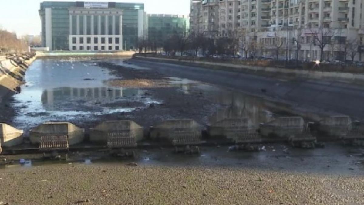Bucureştenii trebuie să suporte mirosul de nămol timp de zece zile